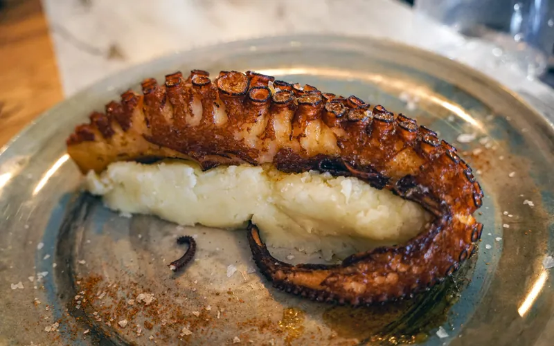 Santa Luzia octopus, Algarve