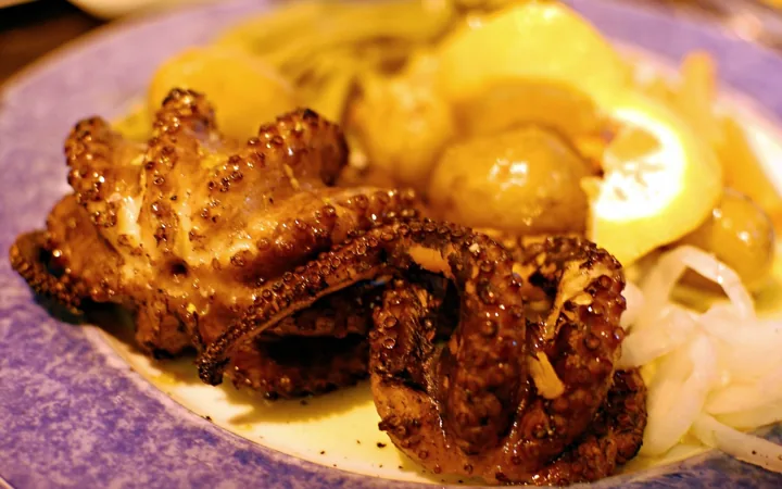 Percebes & shellfish, Algarve