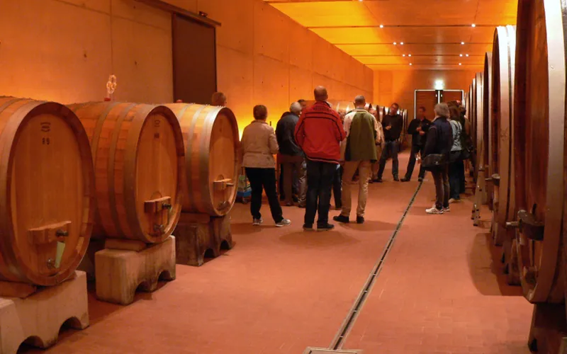 Winery tour with a driver, Algarve
