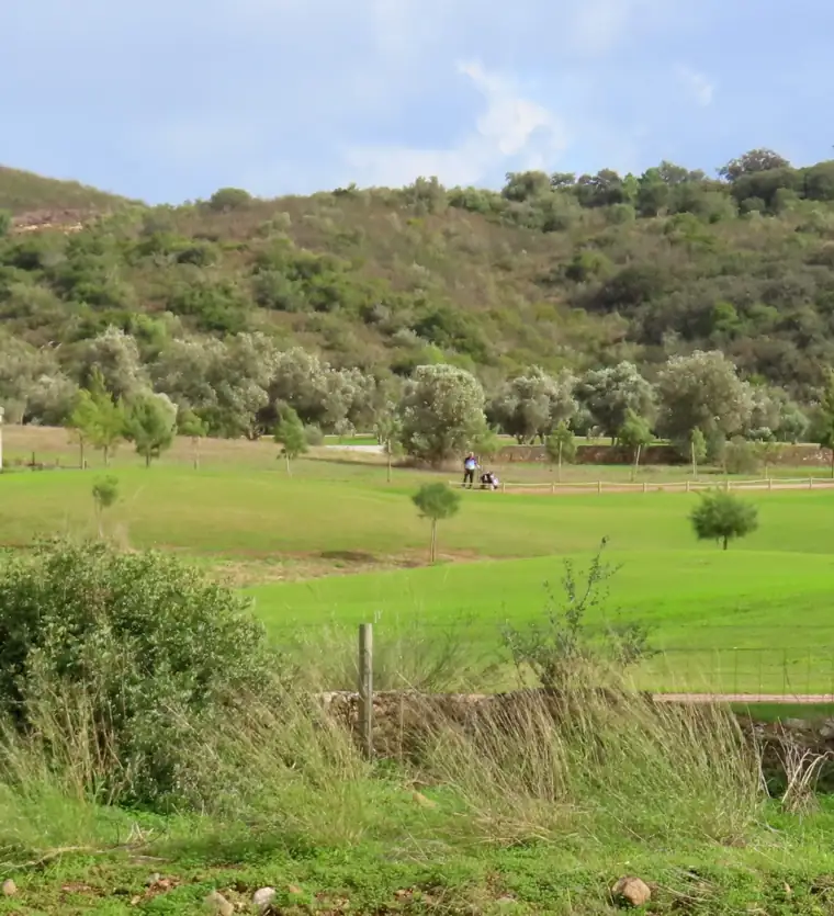 Boavista, Algarve